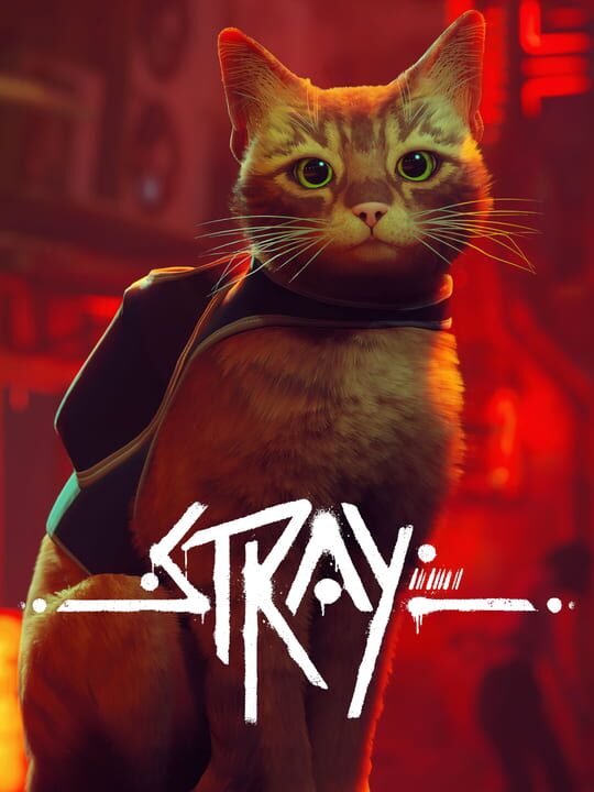 Cover of Stray